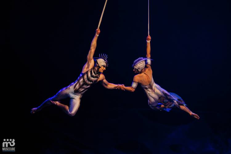 Cirque Du Soleil. OVO. Лужники. 08.05.2018. Фоторепортаж