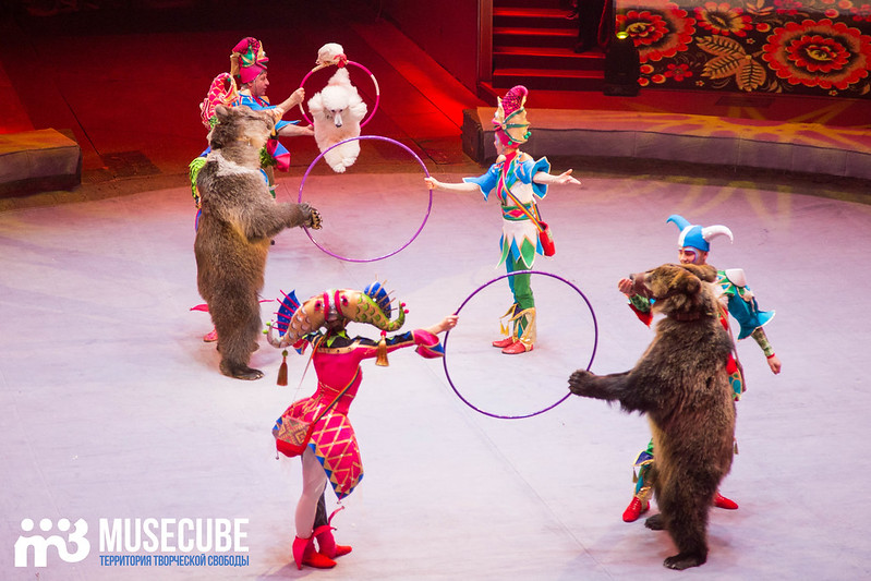 Невероятный цирк — «Вероятно невероятная сказка» в Большом московском цирке